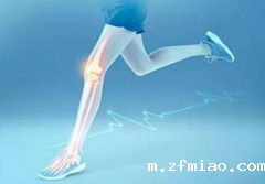 骨密度检测仪的作用以及双能X射线骨密度仪和超声骨密度仪有什么区别?