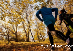 超声骨密度分析仪述跑步前没有做好充足热身运动强烈的运动是导致骨折“凶手