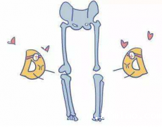 国康超声骨密度仪品牌提示男人骨头也会“脆”!需求防范骨质疏松症!