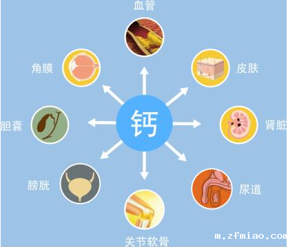 儿童超声骨密度检测仪生产厂家分析骨密度跟钙啥关系?