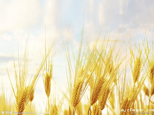 骨密度检测仪是当下备受这两个年龄度喜欢的重要仪器