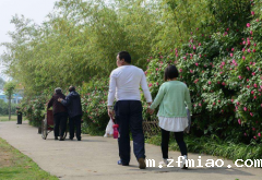 骨密度测量仪运动医学专家总结日常散步的方法可提升骨密度骨质疏松得到改善