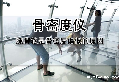 骨密度仪生产厂家研究发现骨密度是衡量我们钙含量的重要指标出现腿软是骨密度偏低的原因