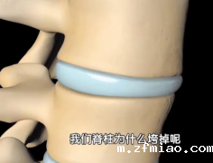 超声骨密度仪厂家提示60岁后骨骼散架”!需要补足营养,健旺骨骼