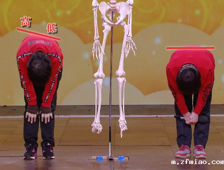 超声骨密度仪厂家提示60岁后骨骼散架”！需要补足营养，健旺骨骼