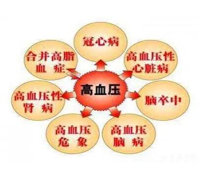 便携式超声骨密度分析仪提示血压高很有可能加快人体骨骼衰老