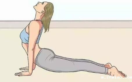 便携式骨密度检测仪提示预防脊柱疾病，何不效仿一下这种小动物姿态！