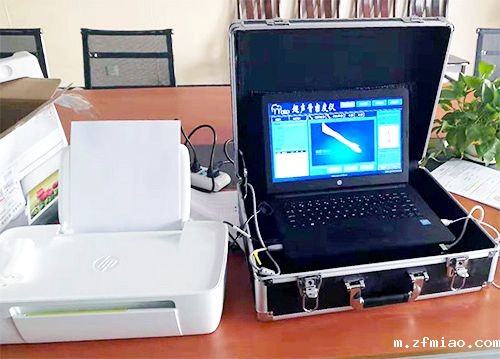 便携超声骨密度仪厂家提示椎间盘害人,为什么大家腰疼好不了?