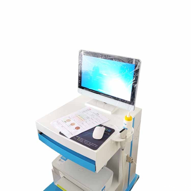 新利18体育娱乐app菲律宾桡骨和胫骨超声骨密度仪使用方法是什么