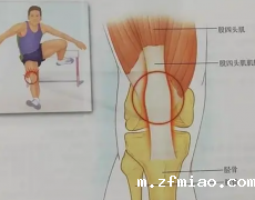 关节活动的响声，超声波骨密度分析仪器检测结果是警醒还是福音？