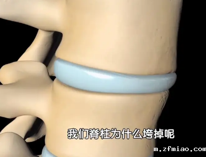 超声骨密度仪厂家提示60岁后骨骼散架”！需要补足营养，健旺骨骼