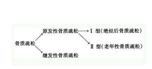 GK-7000【骨密度检测仪】品牌国康提醒骨质疏松非小事，怎样预防是关键！