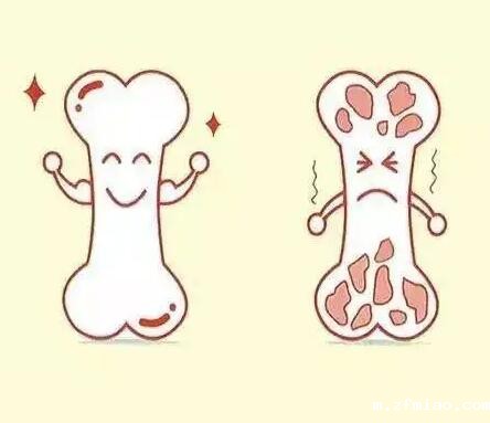 骨密度检测仪厂家提示健康养生要养骨，夏天是养骨最佳时机